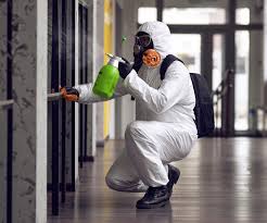 Mold Remediation for Vacation Homes in Brazoria, TX